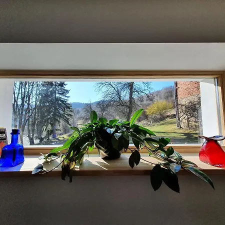 Daire Dudek Wojtowice