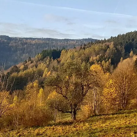 Dudek Daire Wojtowice